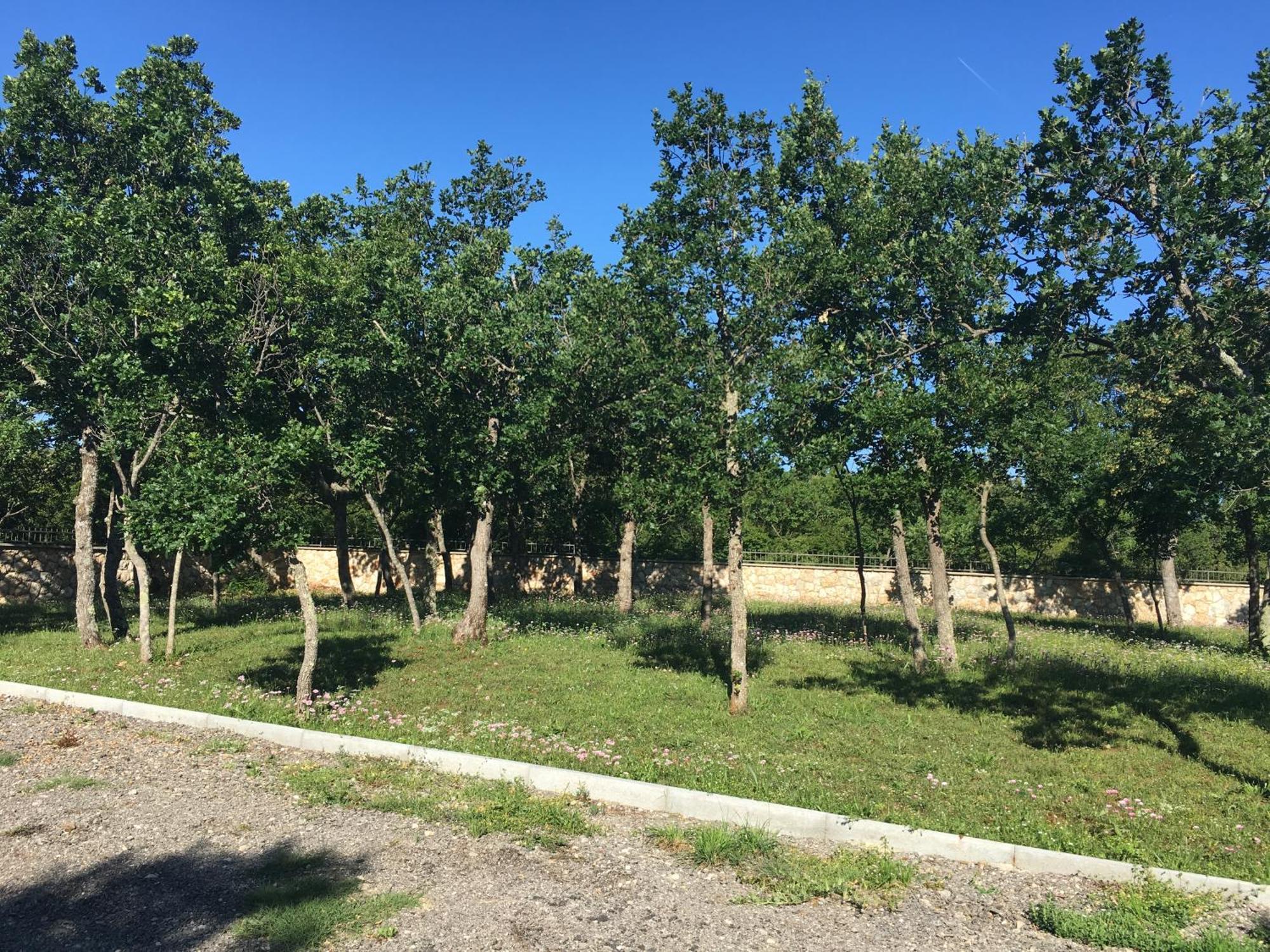 Micanovi Dvori Mobile Home Village Zrmanja Obrovac Exteriör bild